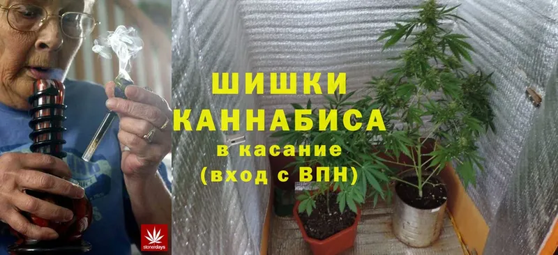 где найти наркотики  Нахабино  Бошки марихуана OG Kush 